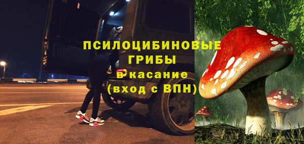 трава Бугульма